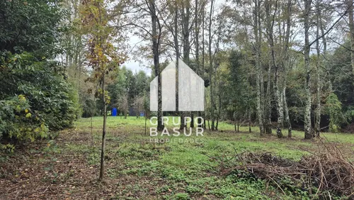 500