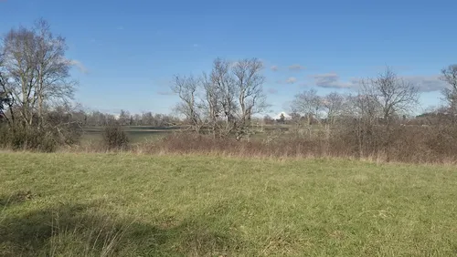 500