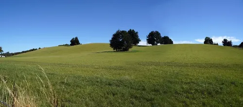 500