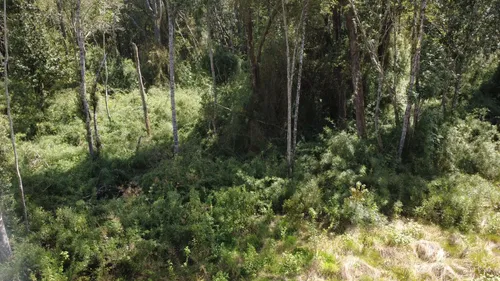 500
