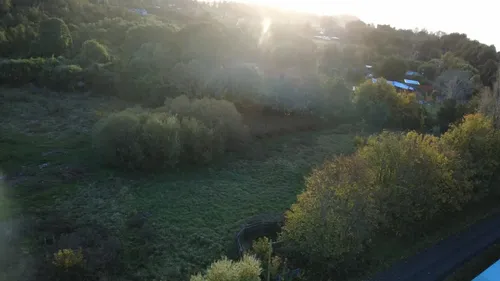 500